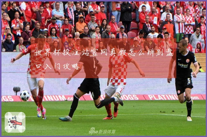 世界杯投注站官网真假怎么辨别盘口入门攻略