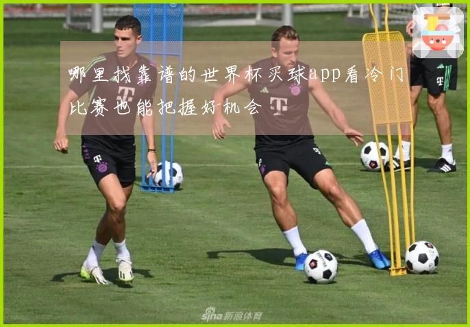 哪里找靠谱的世界杯买球app看冷门比赛也能把握好机会