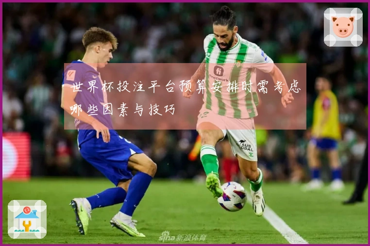 世界杯投注平台预算安排时需考虑哪些因素与技巧