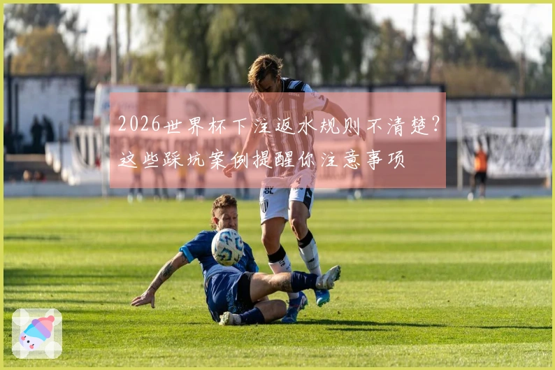 2026世界杯下注返水规则不清楚？这些踩坑案例提醒你注意事项