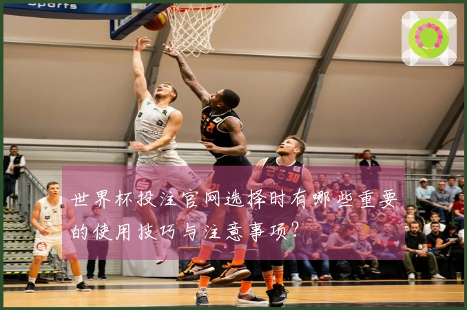 世界杯投注官网选择时有哪些重要的使用技巧与注意事项？