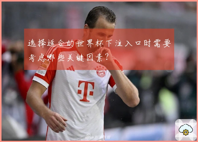 选择适合的世界杯下注入口时需要考虑哪些关键因素？