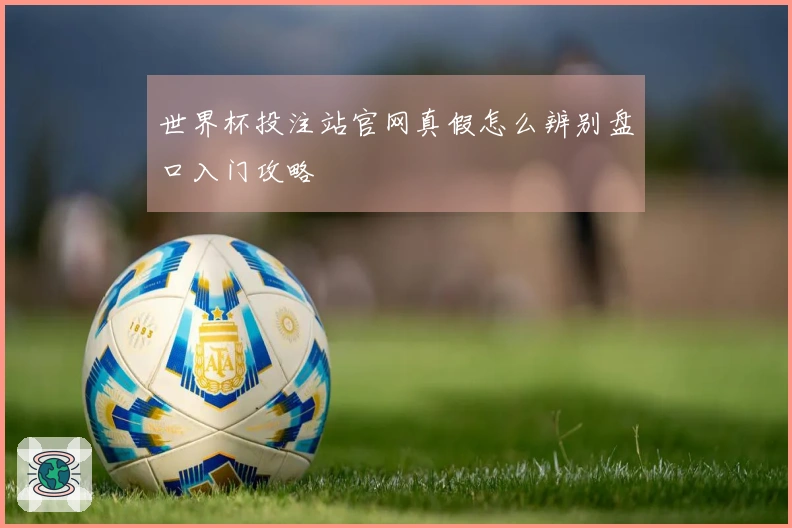 世界杯投注站官网真假怎么辨别盘口入门攻略