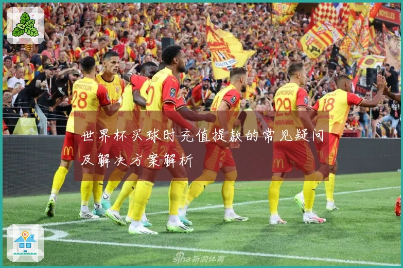 世界杯买球时充值提款的常见疑问及解决方案解析
