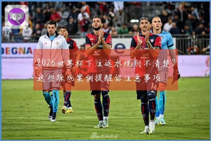 2026世界杯下注返水规则不清楚？这些踩坑案例提醒你注意事项